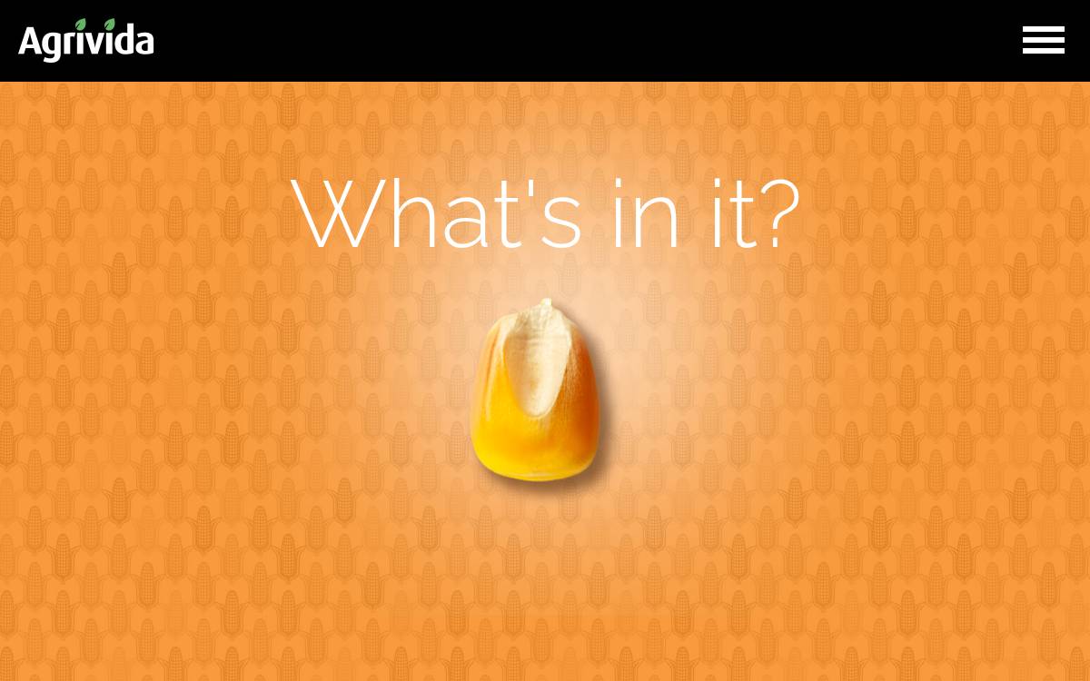 Agrivida website preview