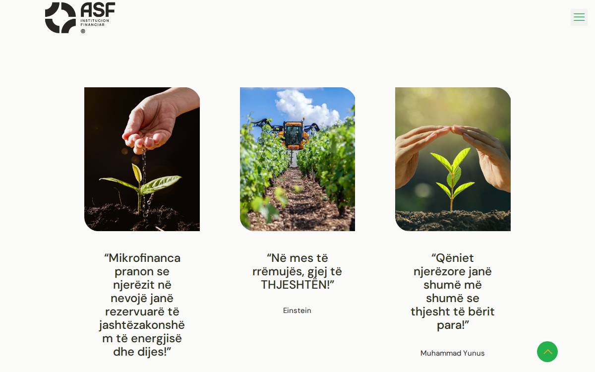 Agro & Social Fund website preview