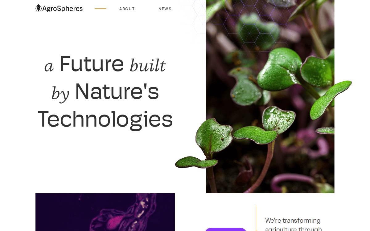 AgroSpheres website preview