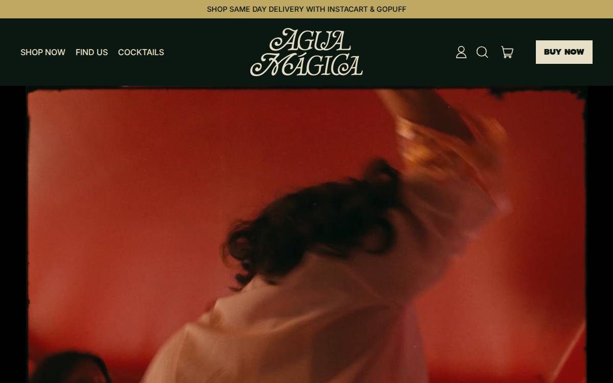Agua Magica Consumer false website preview