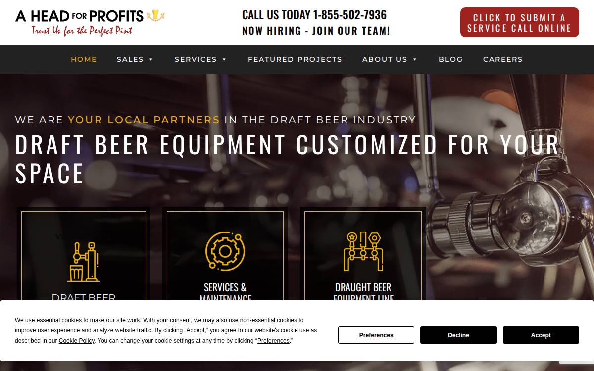 Aheadforprofits website preview