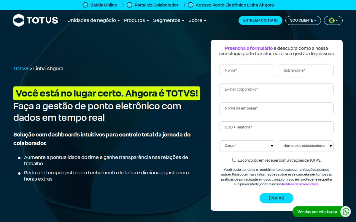 Ahgora Sistemas website preview