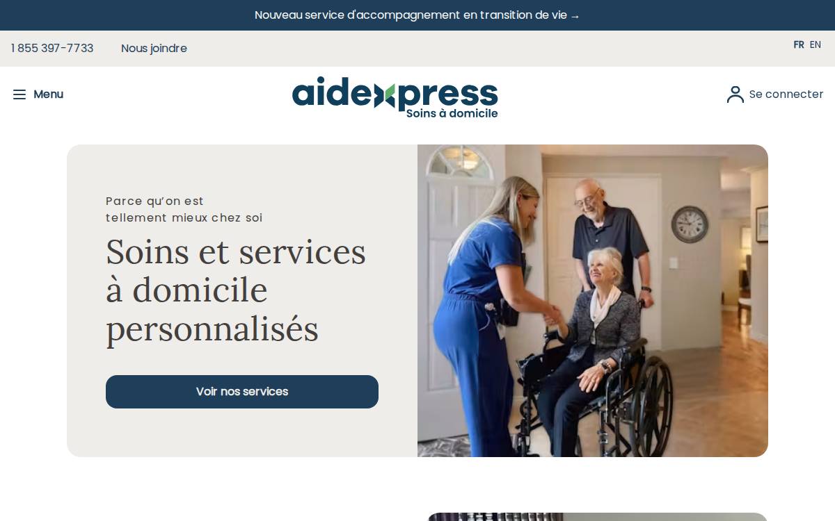 Aidexpress website preview