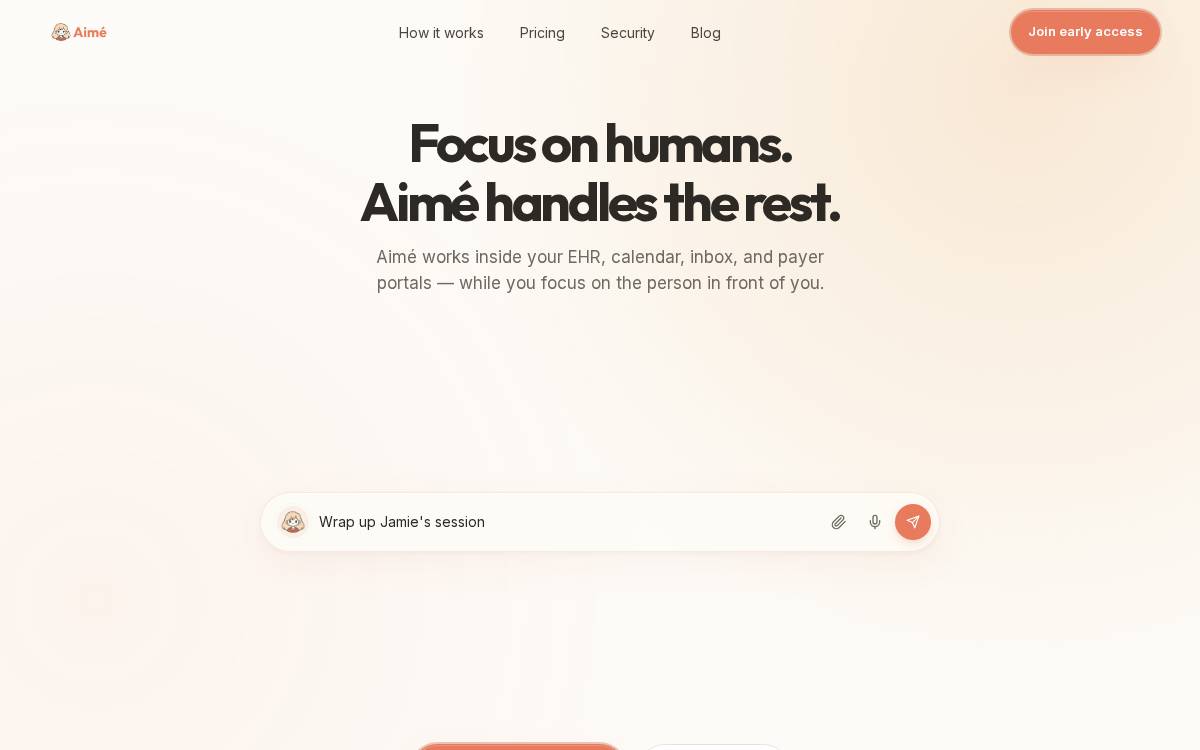 Aime website preview