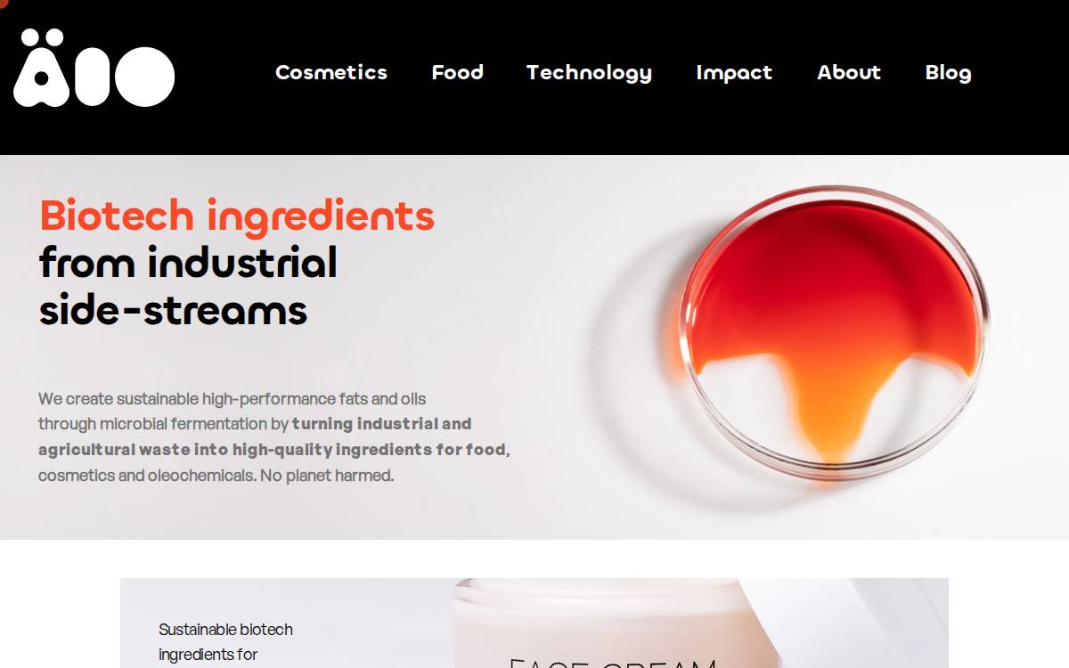 ÄIO website preview