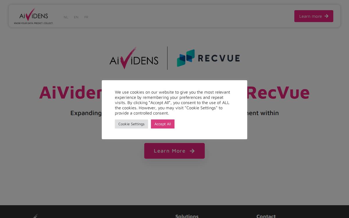 Aividens website preview