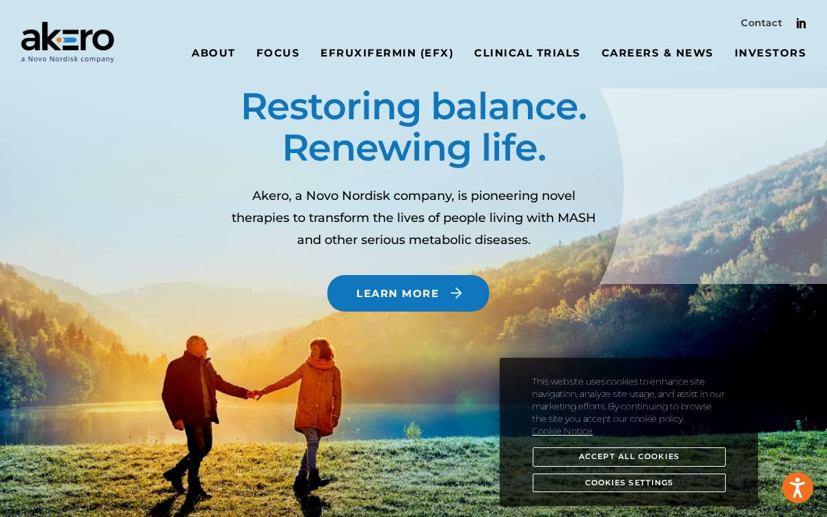 Akero website preview