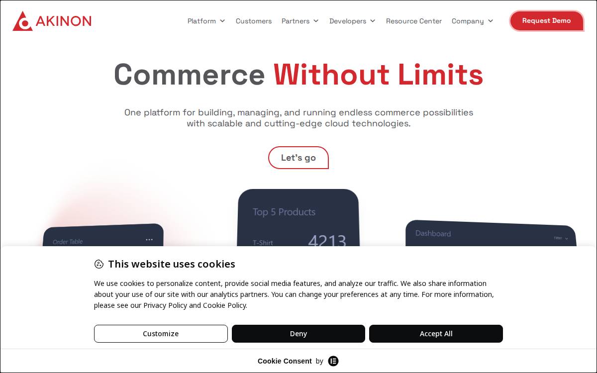Akinon website preview