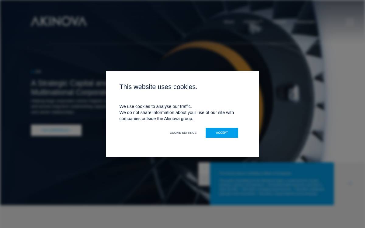 Akinova website preview