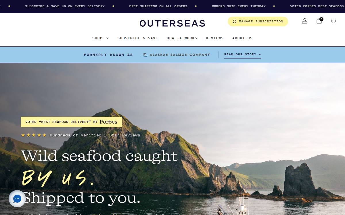 Aksalmonco website preview