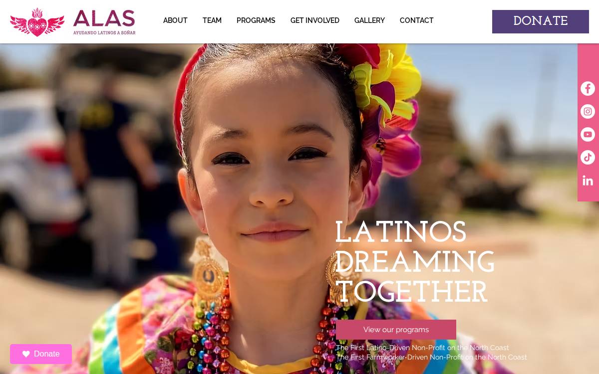 Alasdreams website preview