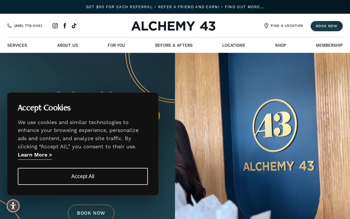 Alchemy 43 website preview