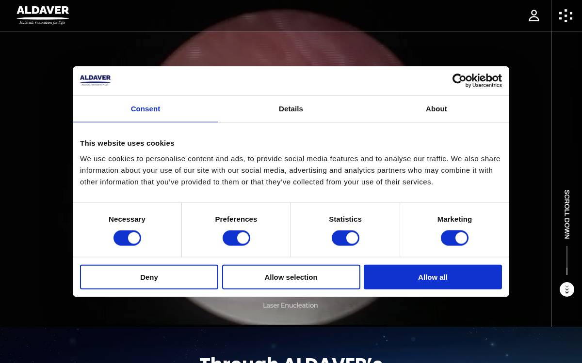Aldaver website preview