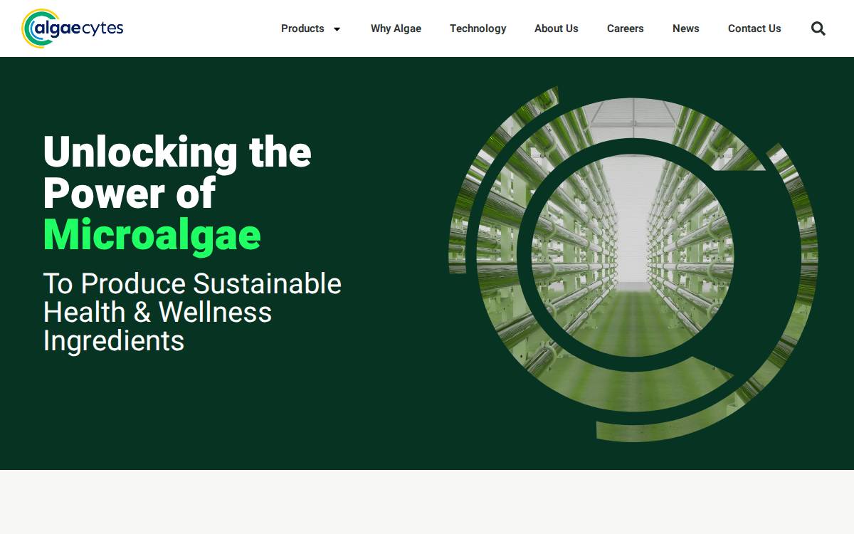 Algaecytes website preview