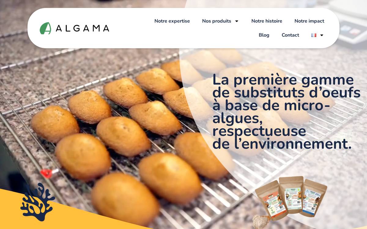 Algamafoods website preview