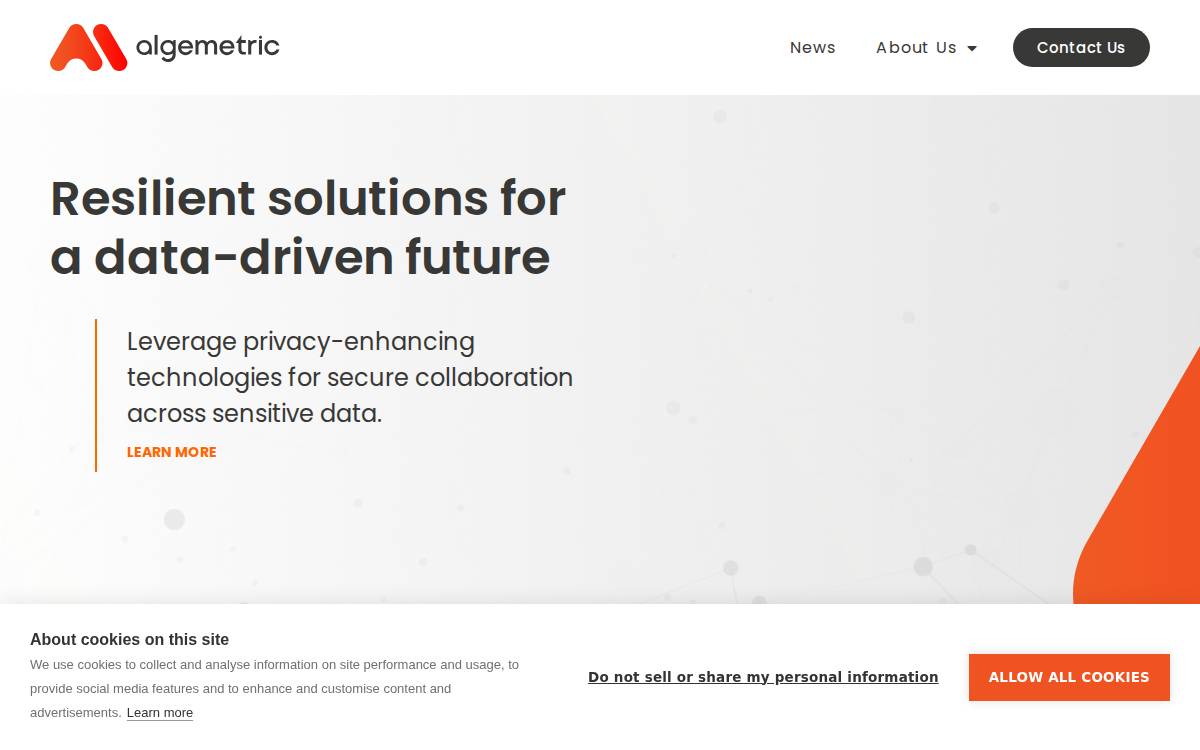 Algemetric website preview