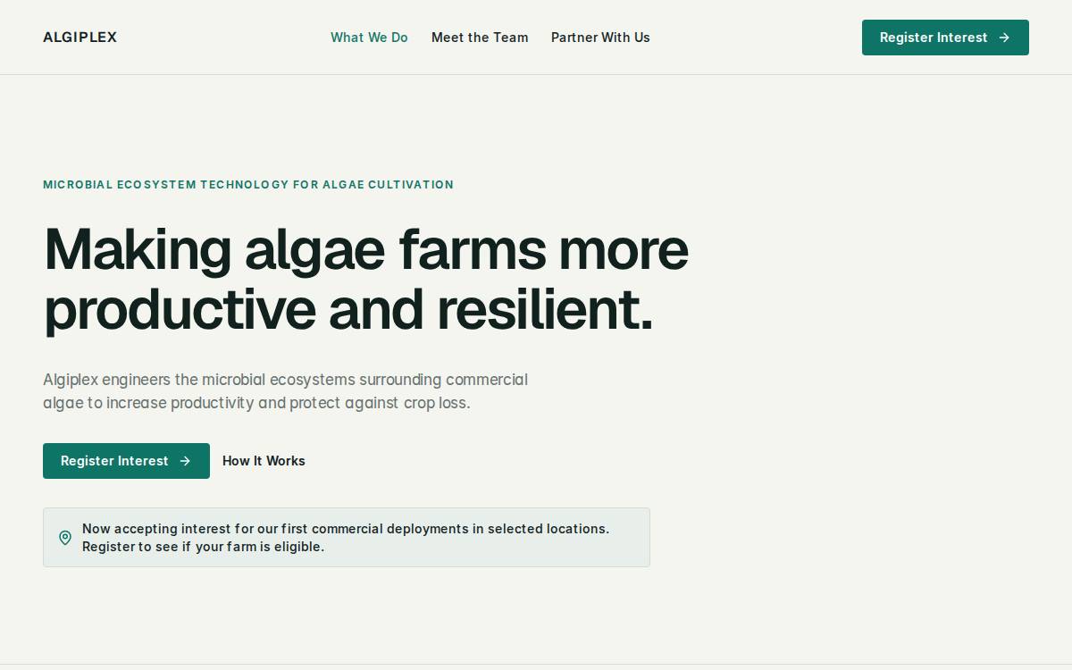Algiplex website preview