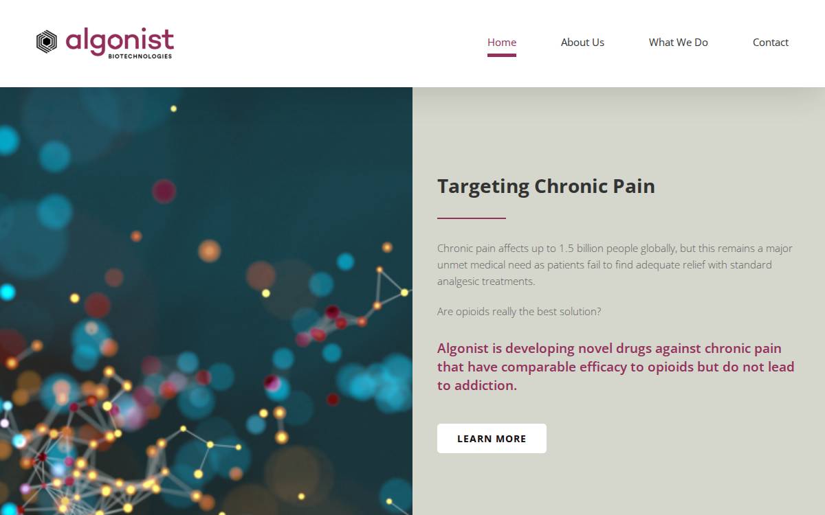 Algonist website preview