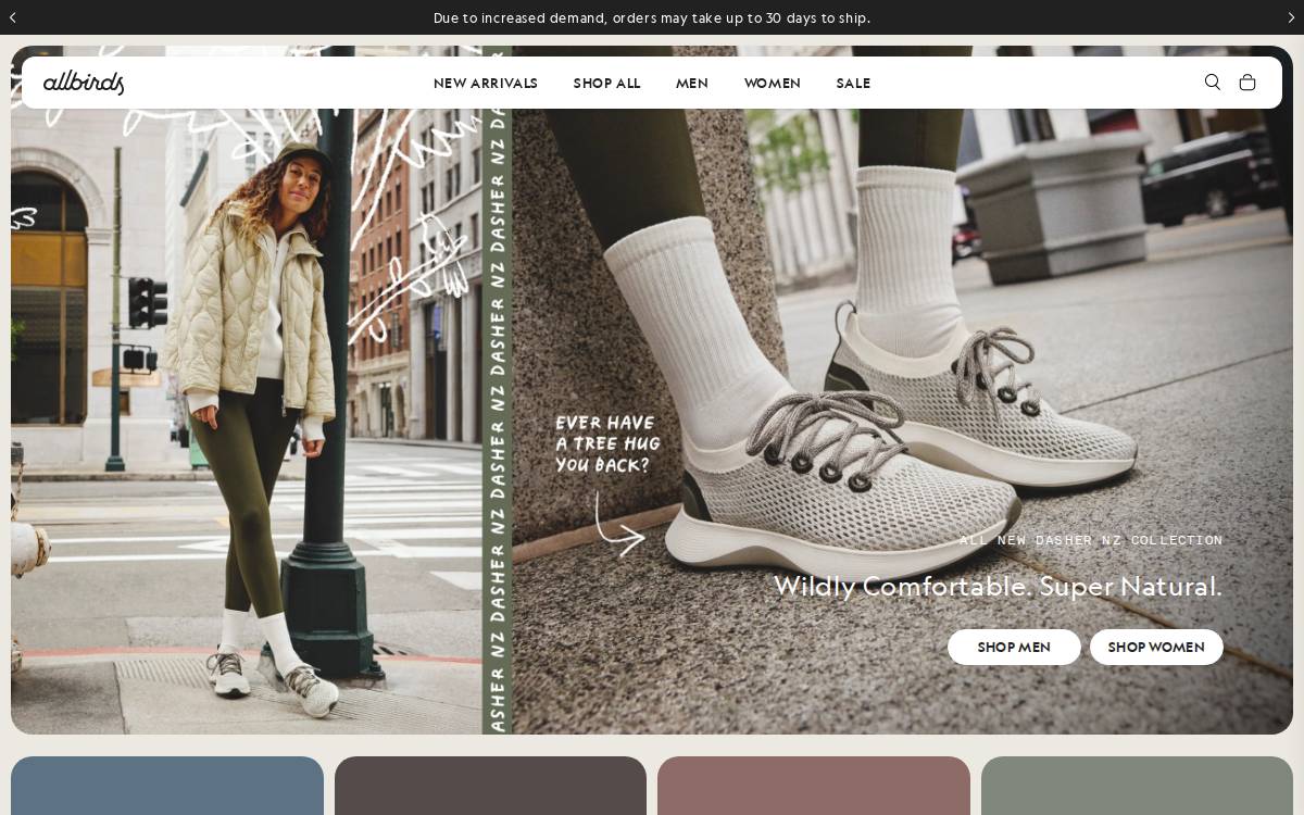 Allbirds website preview