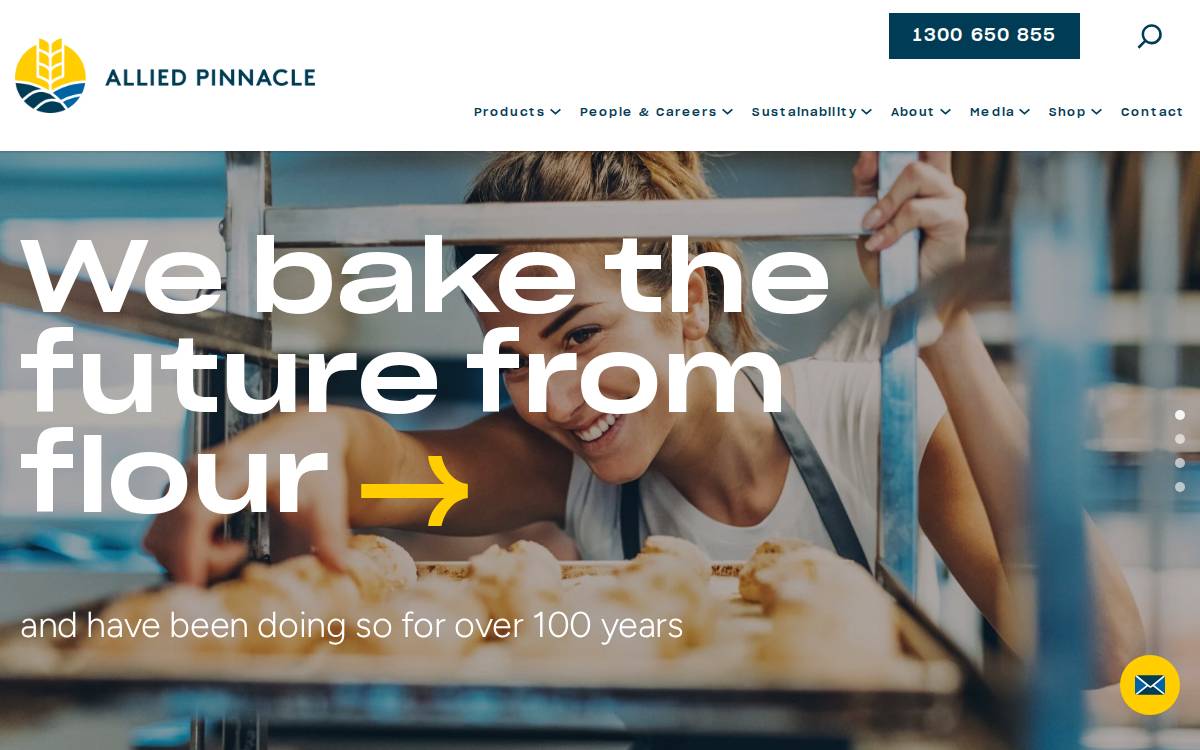 Alliedpinnacle website preview