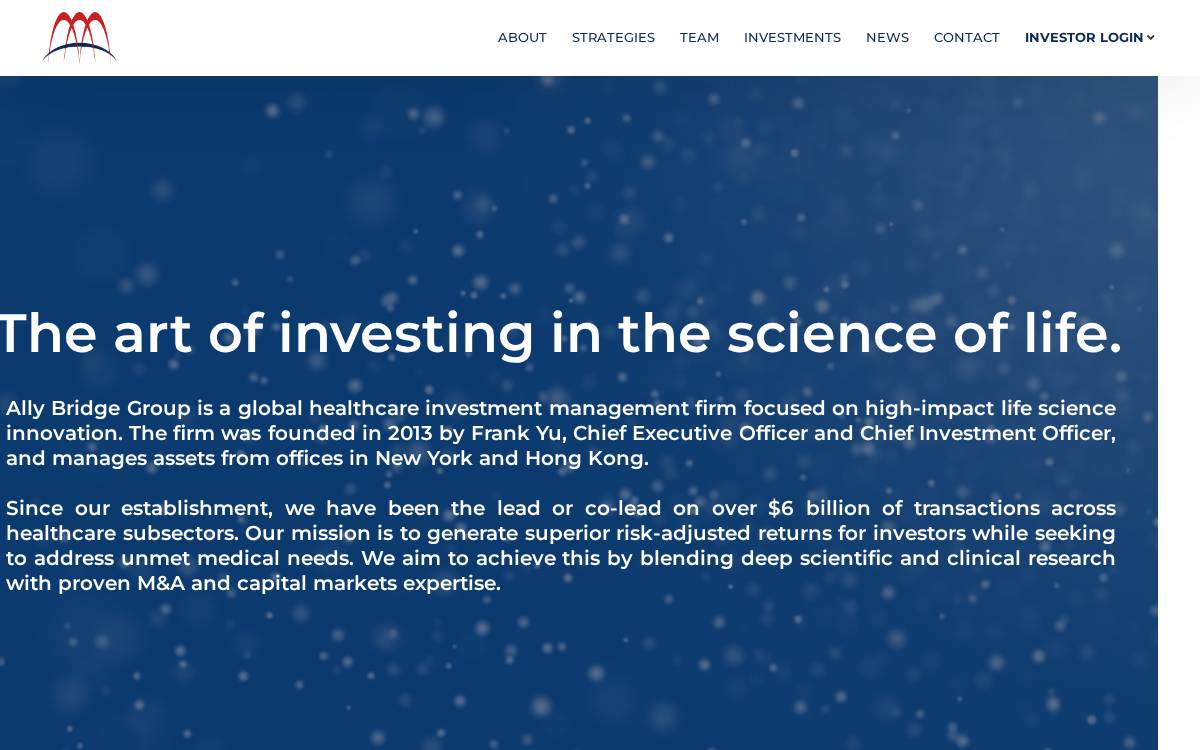 Ally Bridge website preview