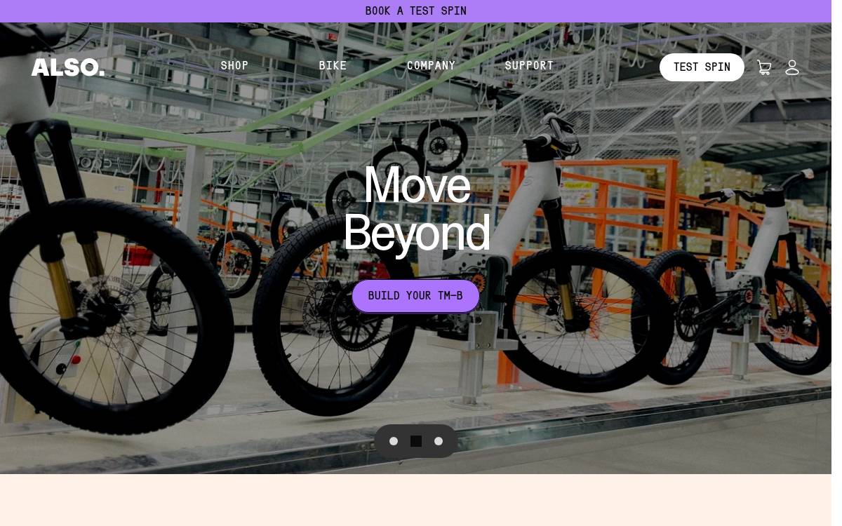 Also website preview
