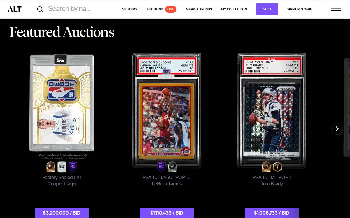 Alt website preview