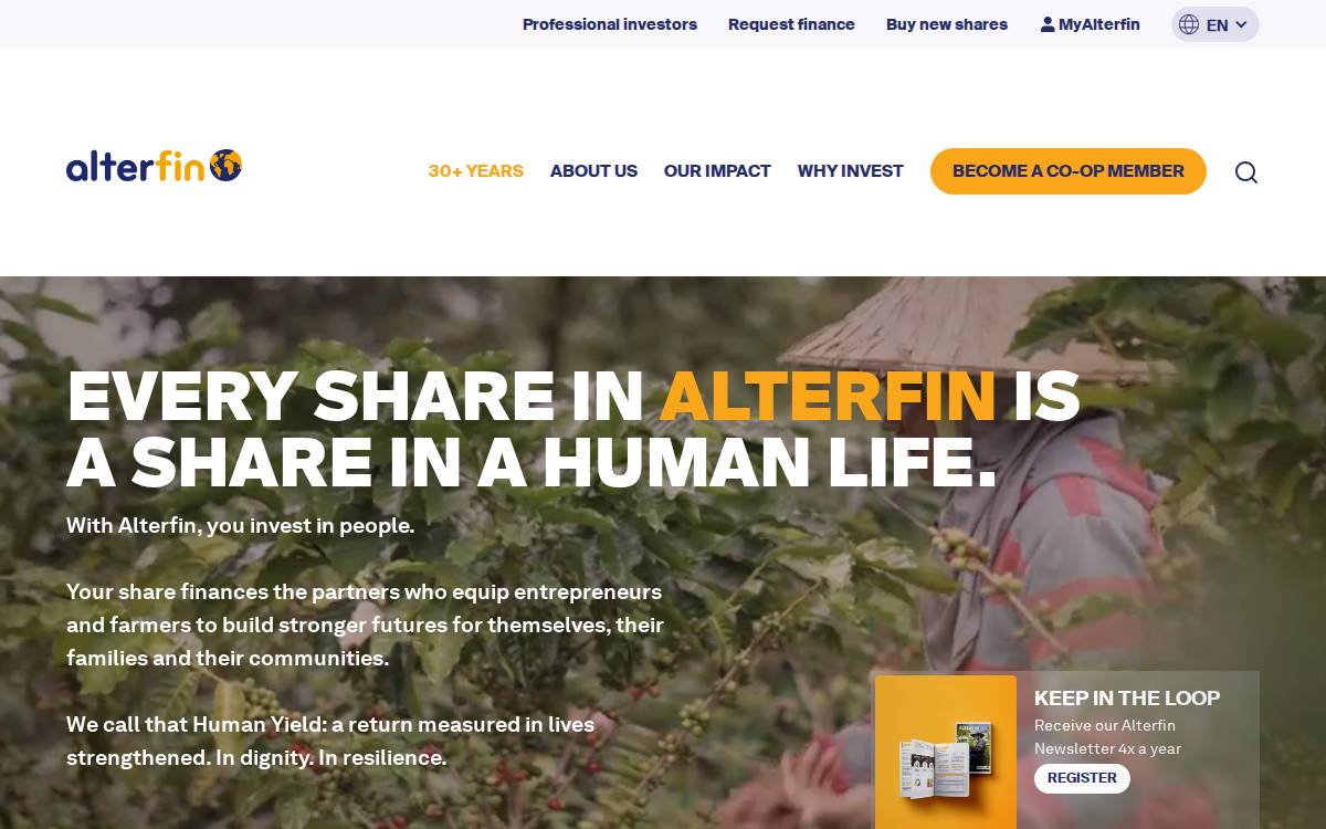 Alterfin website preview