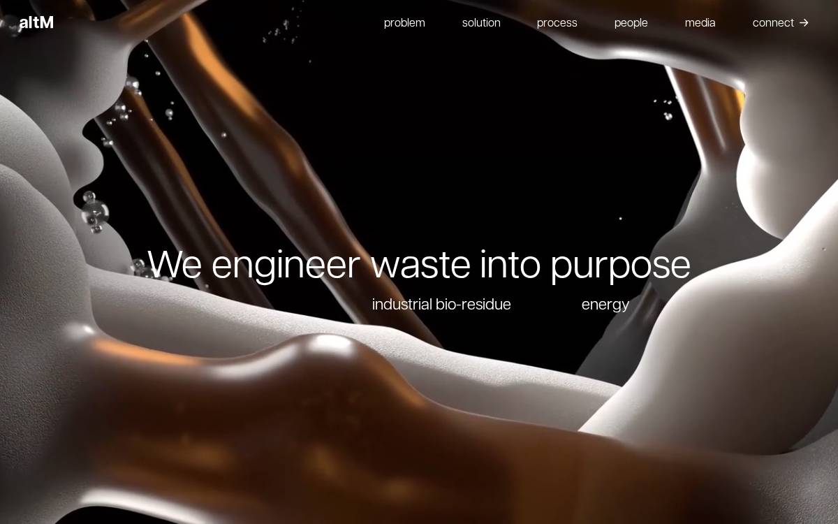 Altm website preview