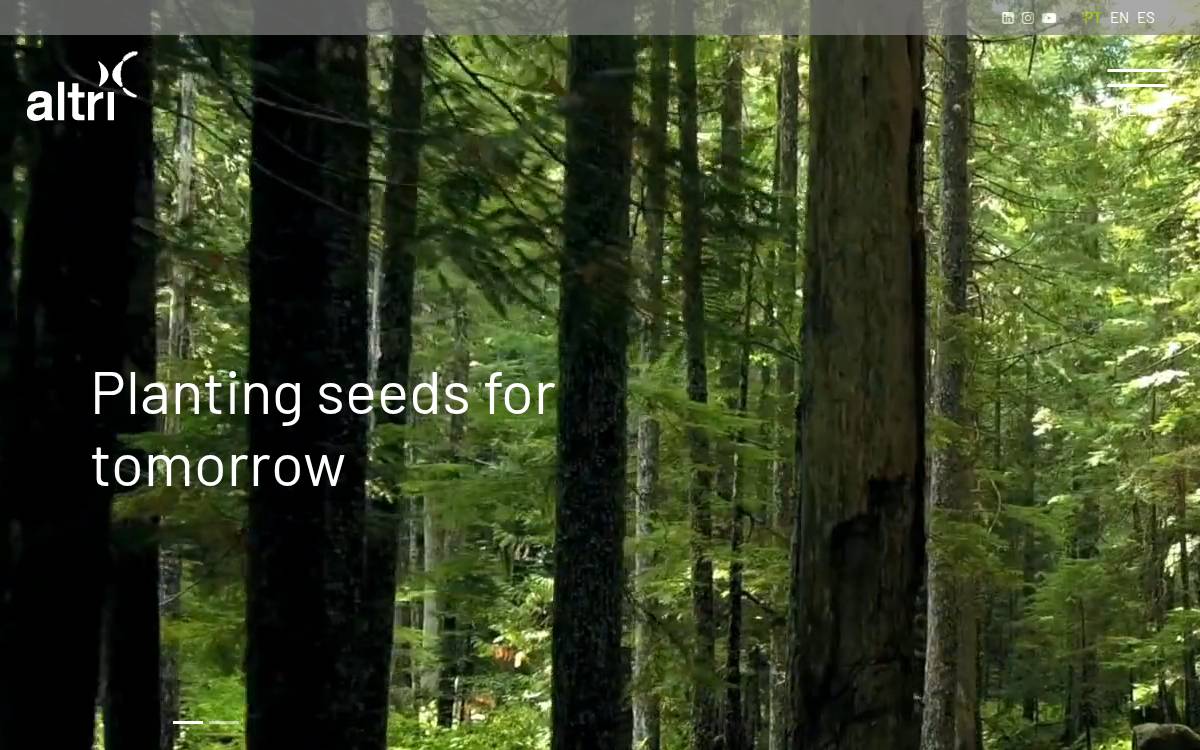 Altri website preview