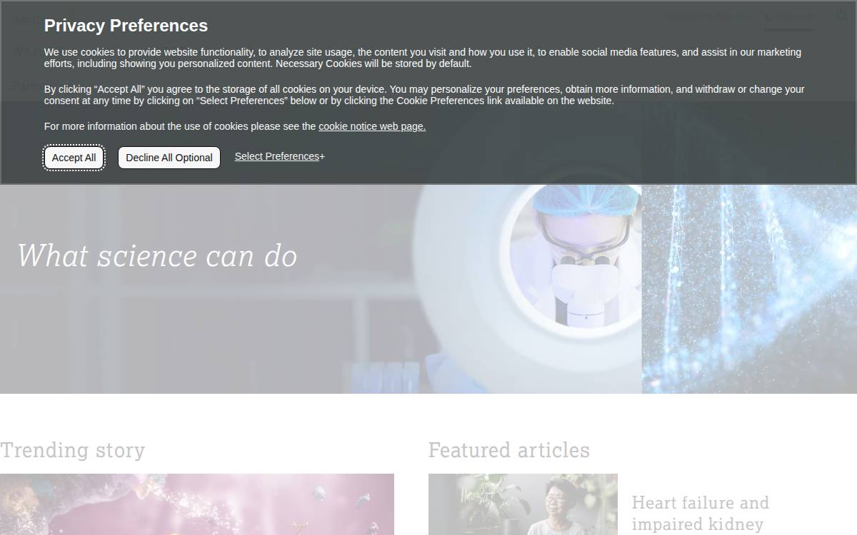Alumni website preview