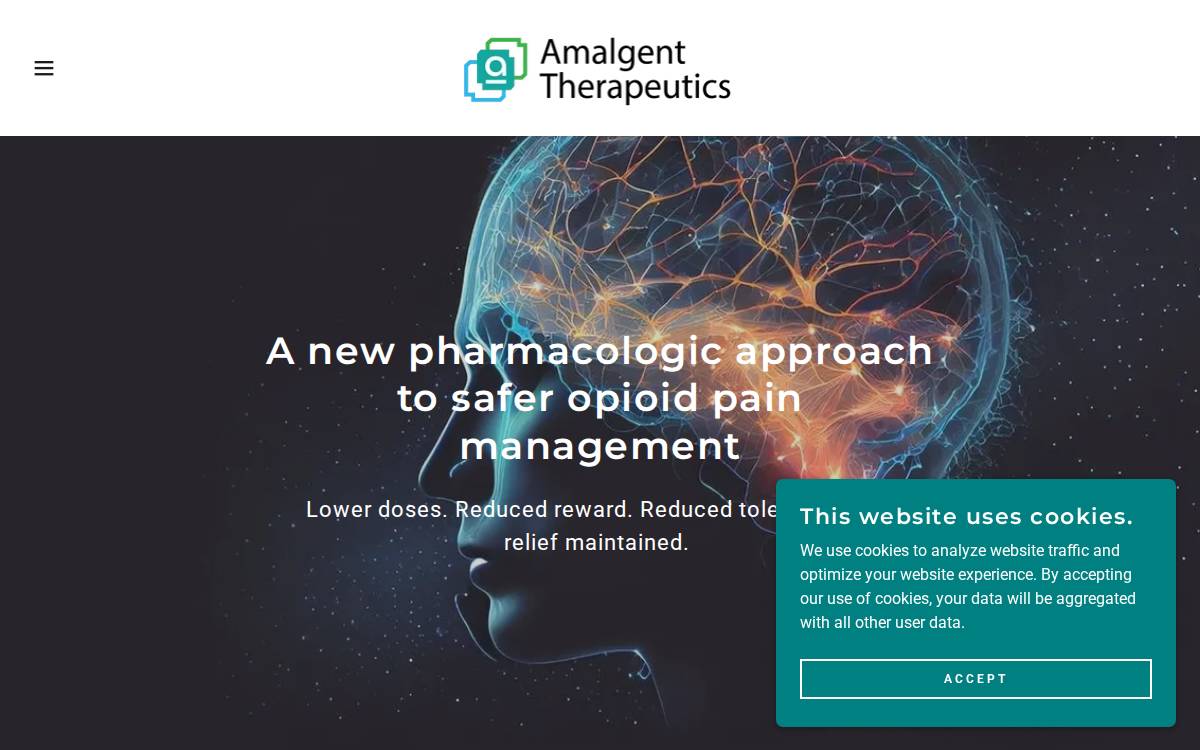 Amalgent website preview