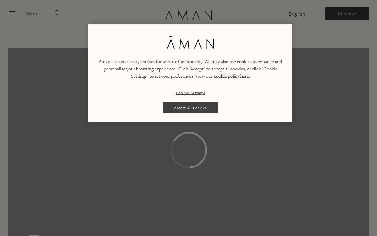 Aman website preview