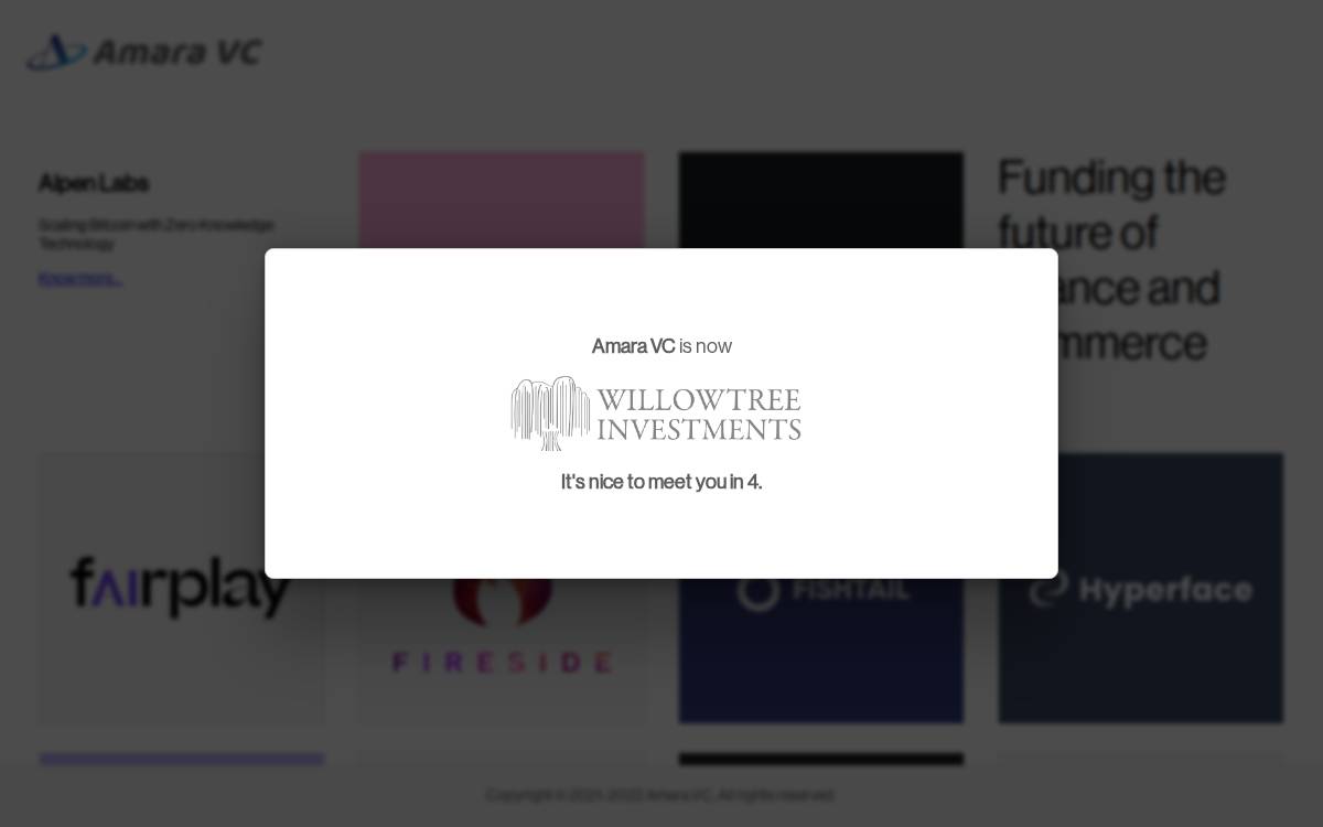 Amara Fintech website preview