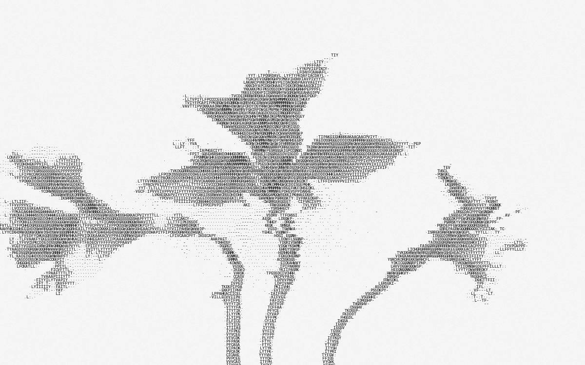 Amaryllistx website preview