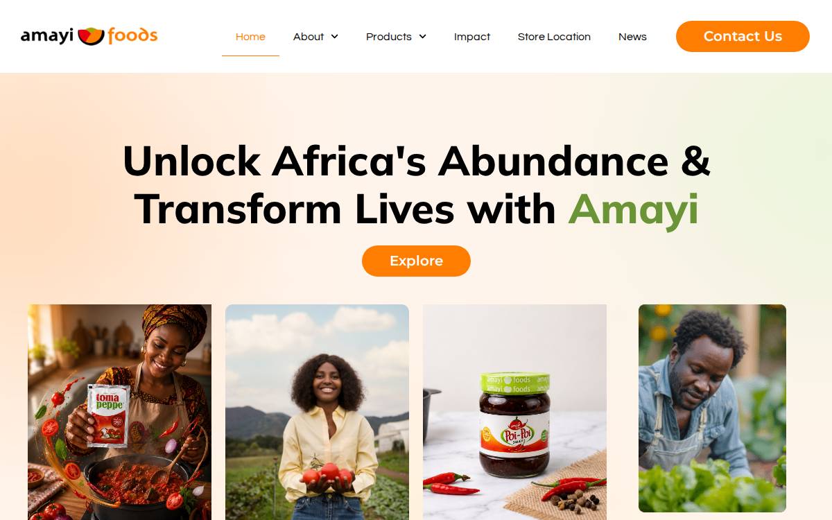 Amayi Foods website preview