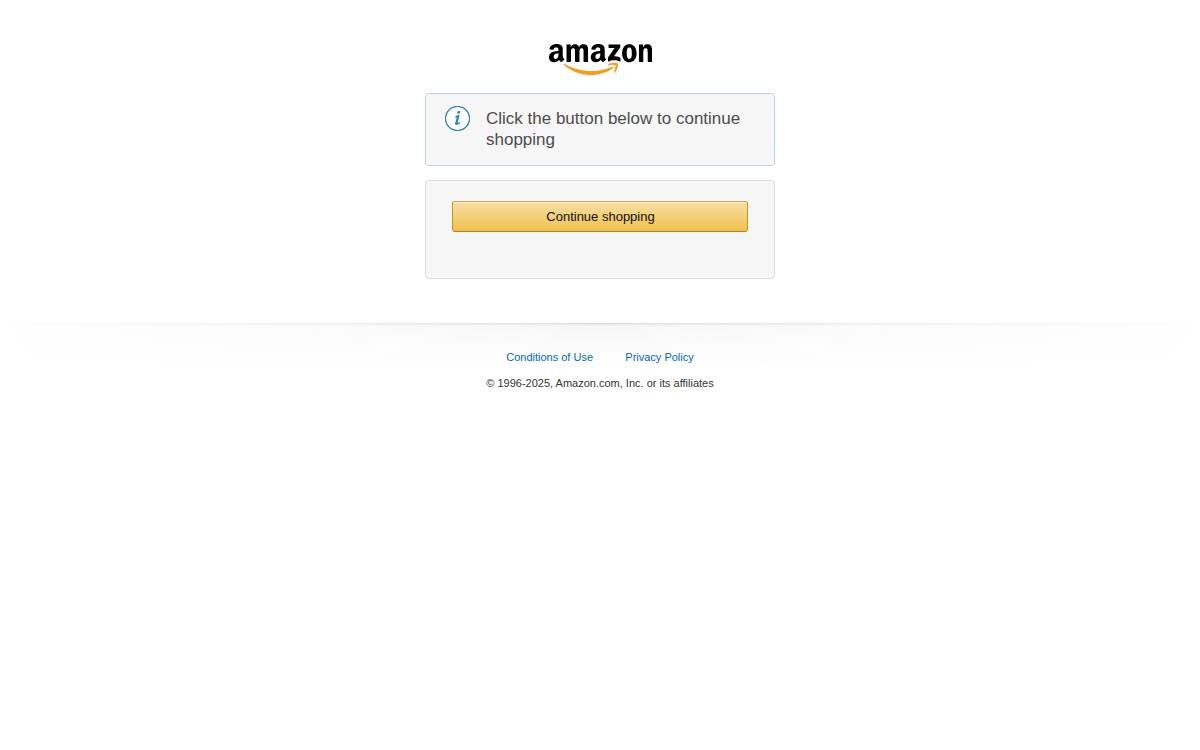 Amazon website preview