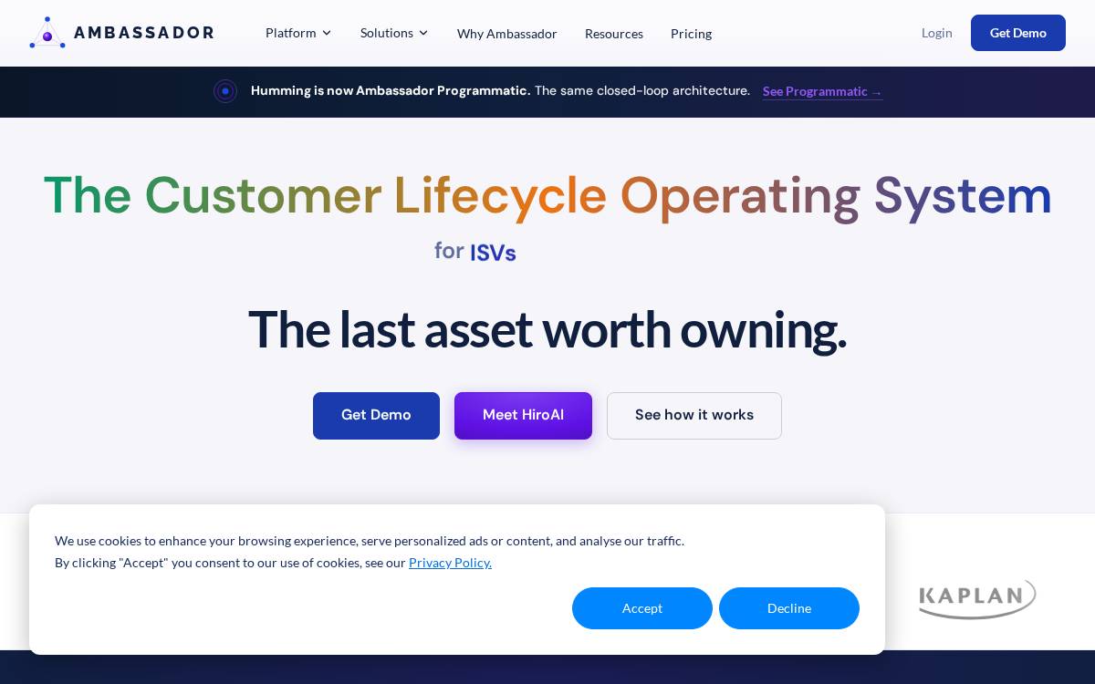 Ambassador website preview