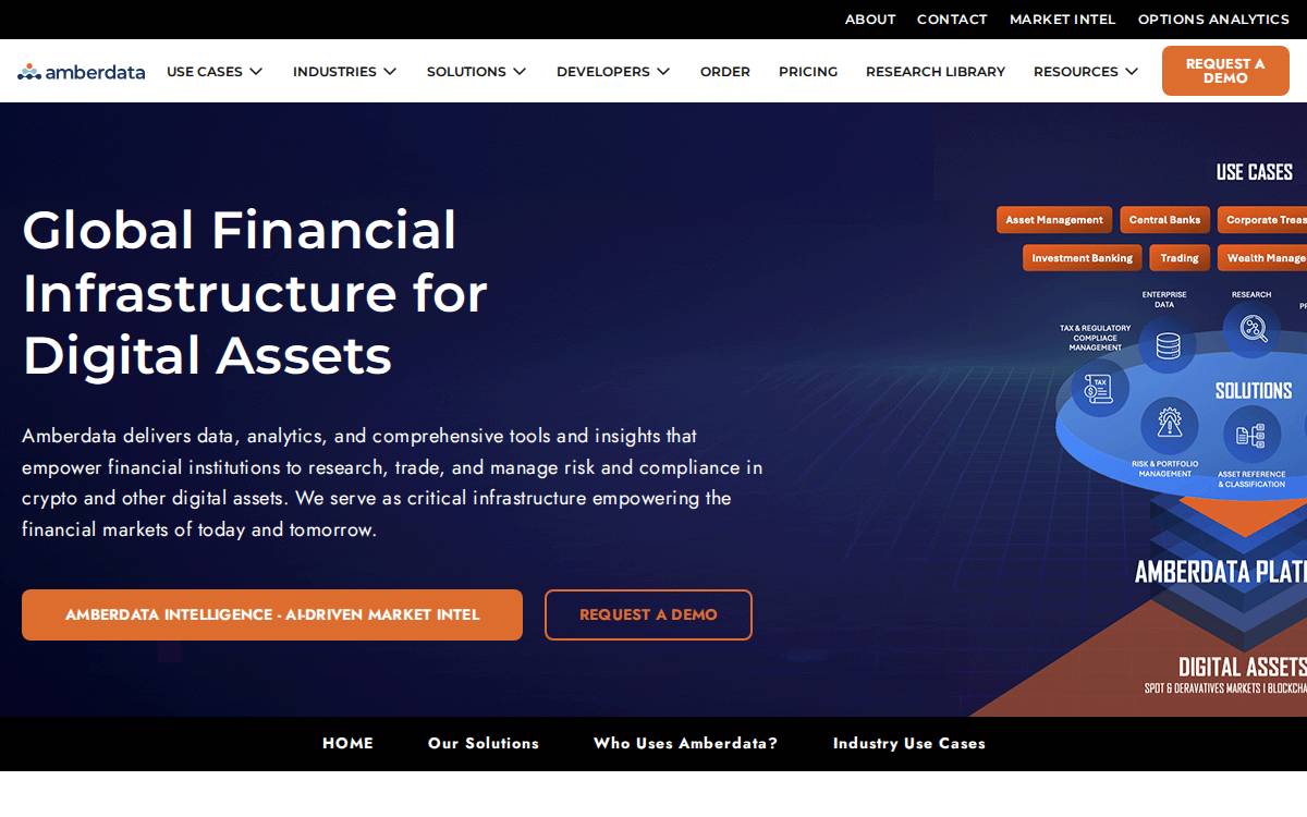 Amberdata website preview