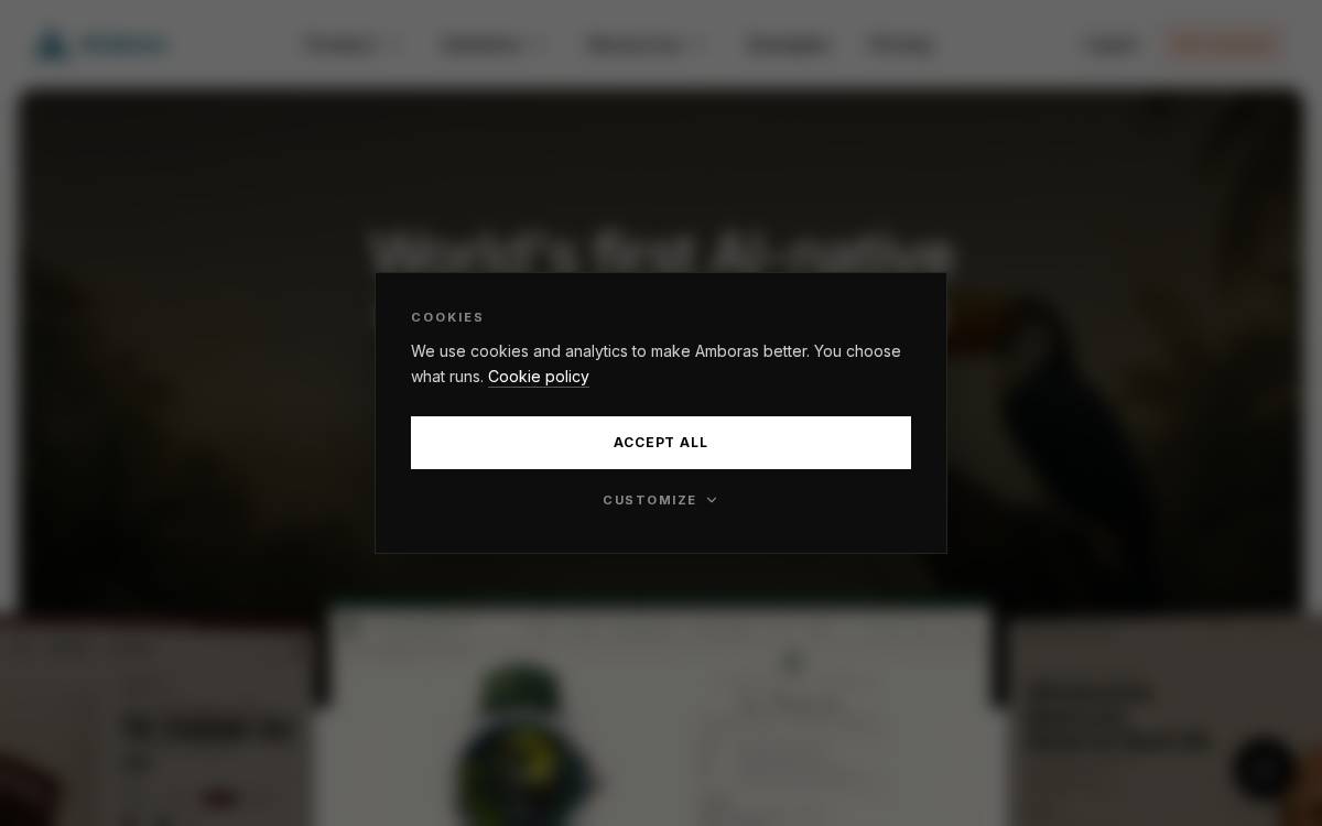 Amboras website preview