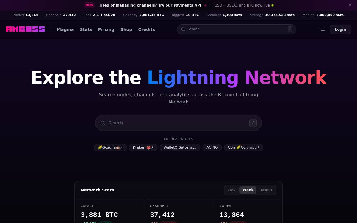 Amboss website preview