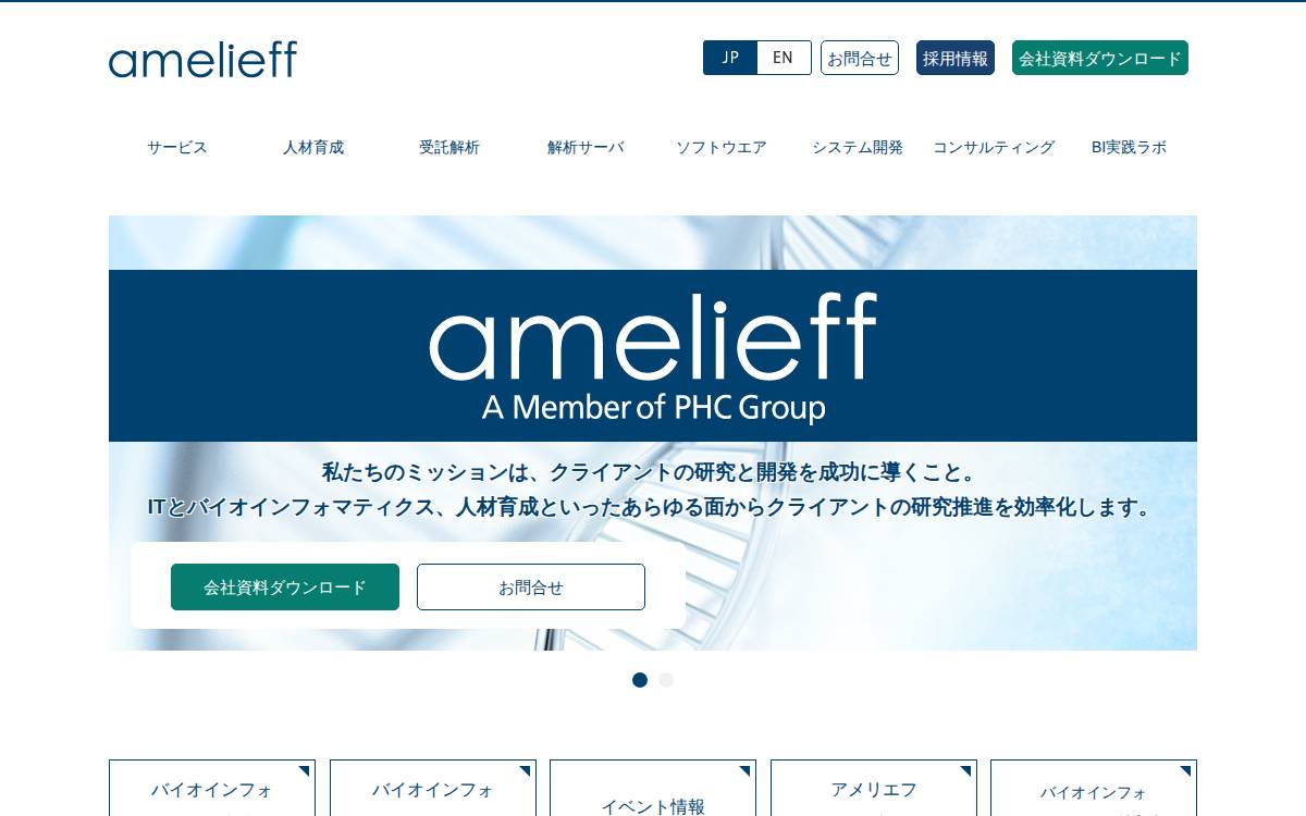 Amelieff website preview