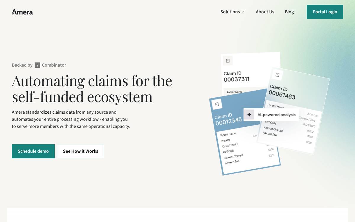 Amera website preview