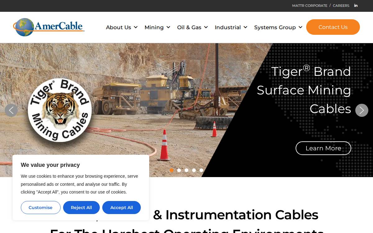Amercable website preview