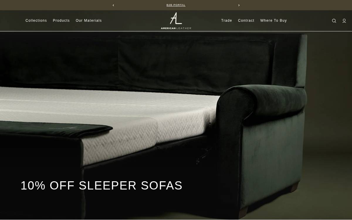 American website preview