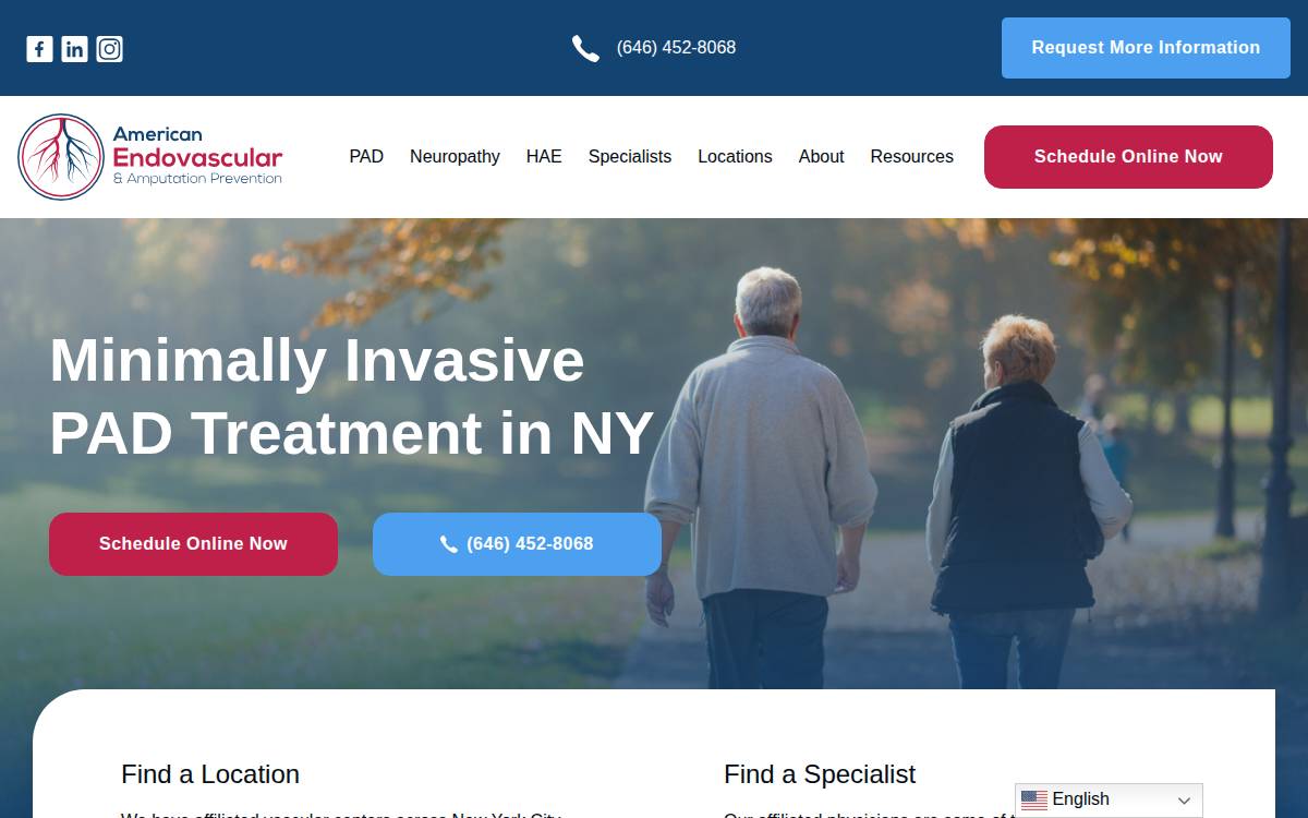 American Endovascular website preview