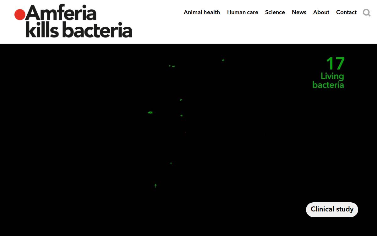 Amferia website preview