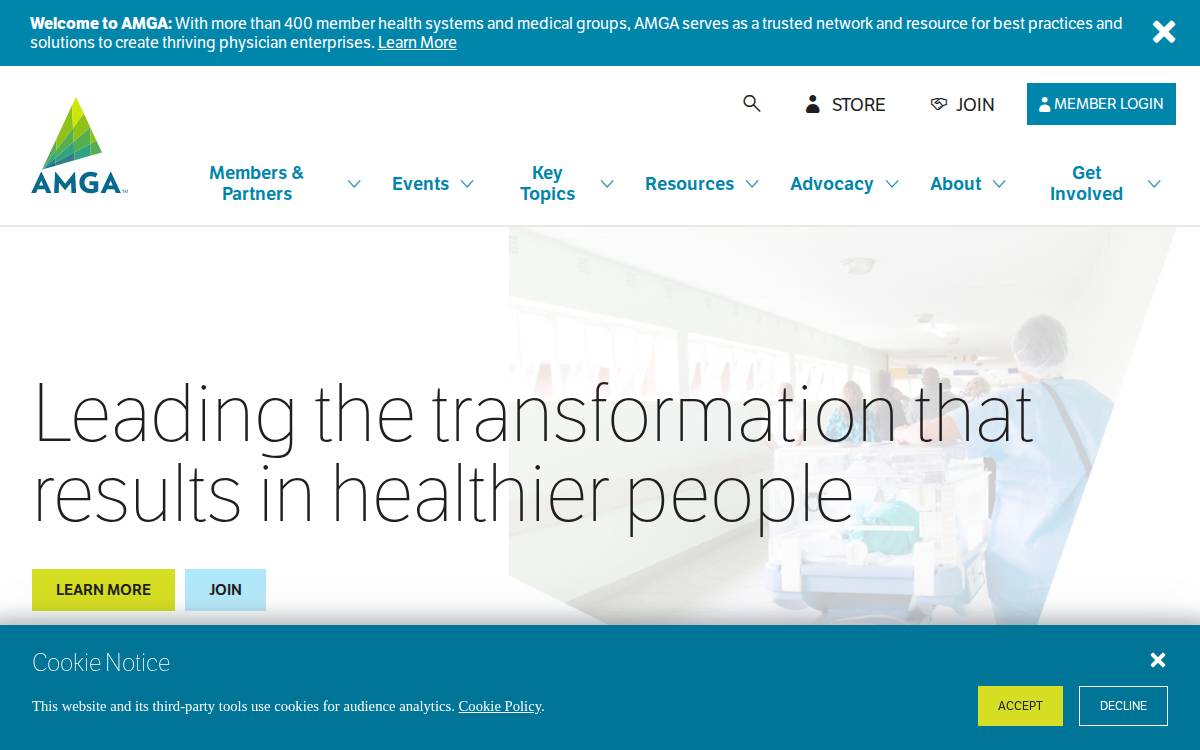 Amga website preview