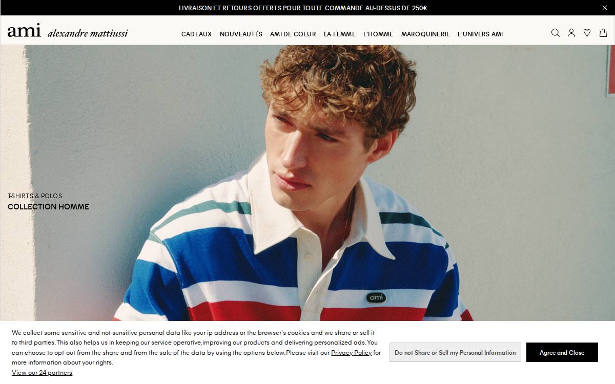 Ami website preview
