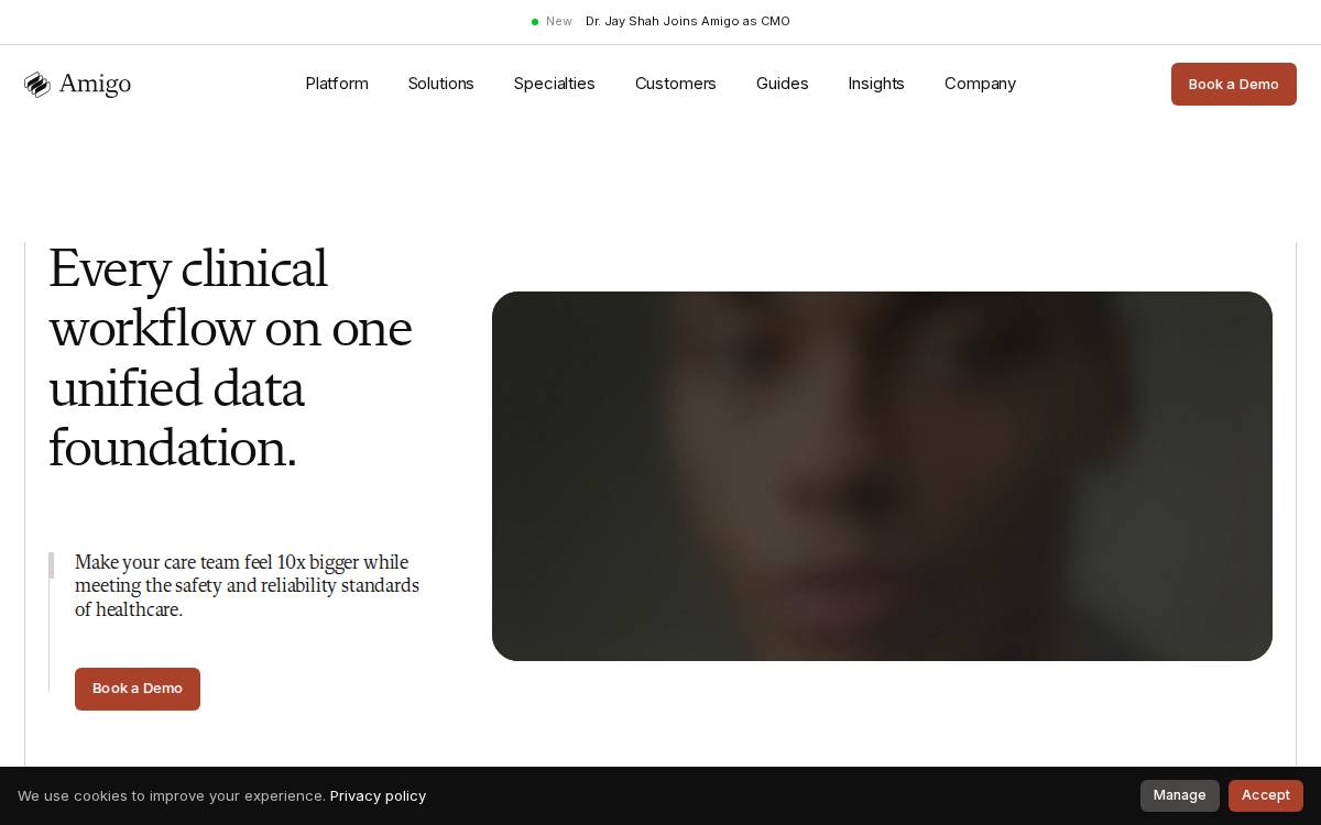 Amigo website preview